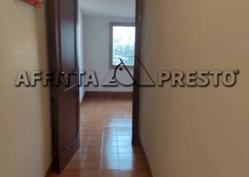 Ufficio Collesalvetti - foto 5