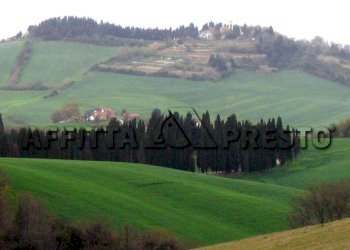 Ufficio Collesalvetti - foto 6