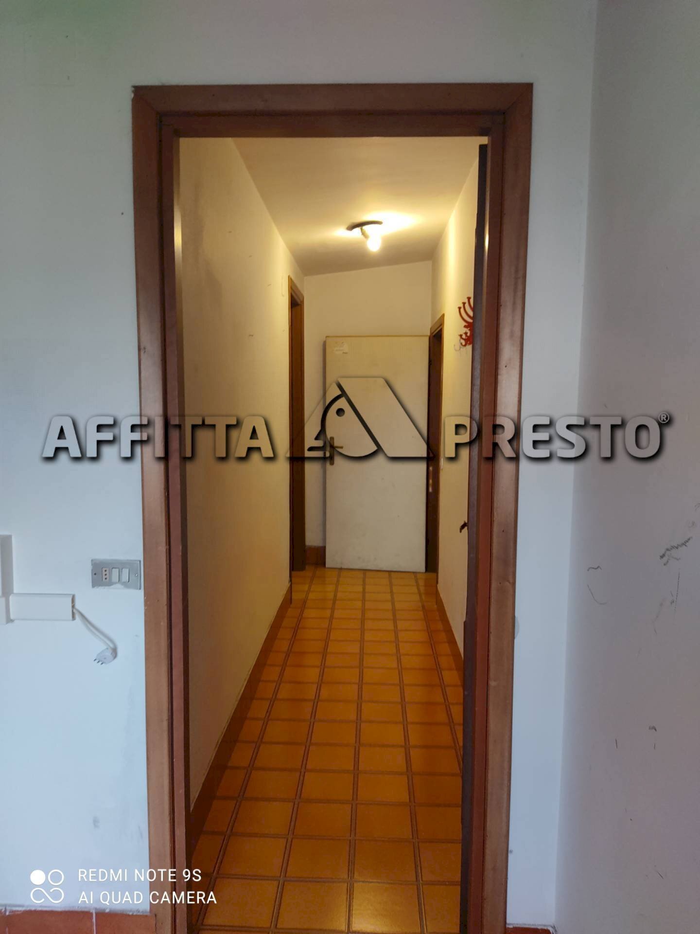 Office Collesalvetti - photo 2