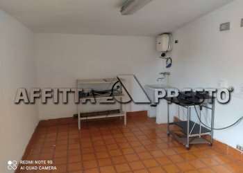 Ufficio Collesalvetti - foto 1