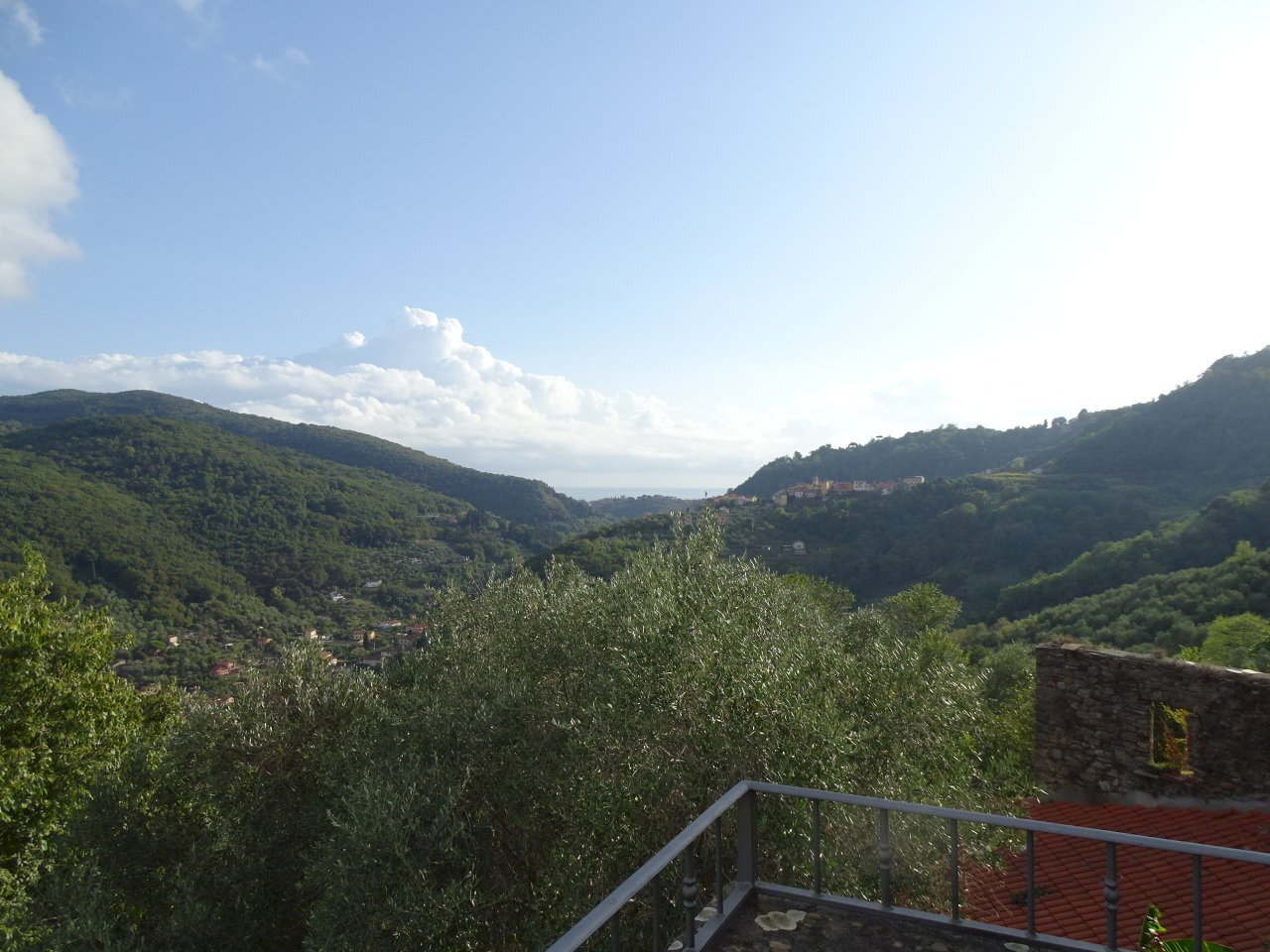 DSC07040.JPG - Terratetto - Terracielo Arcola - foto 2