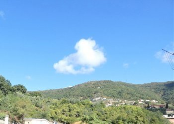 VISTA.JPG - Appartamento Salita di Pino Sottano 2, Genova - foto 4