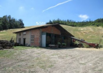 Rustic Bobbio - photo 5