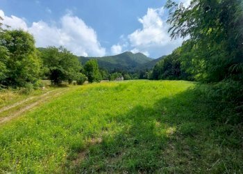 Terreno - Rustico Zogno - foto 8