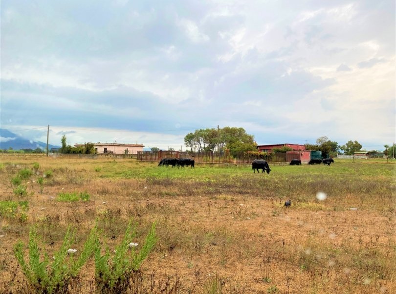 Terreno agricolo Mondragone - foto 2