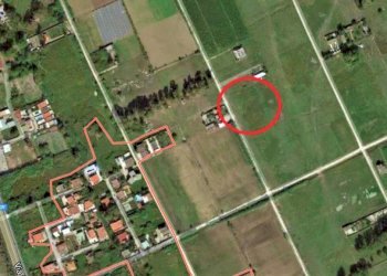 Terreno agricolo Mondragone - foto 3