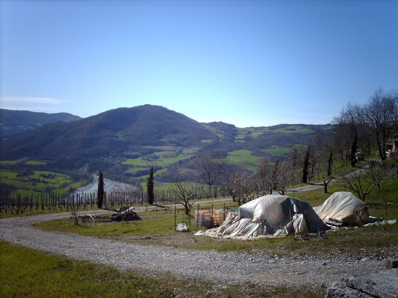 Terreno agricolo Rivergaro - foto 2