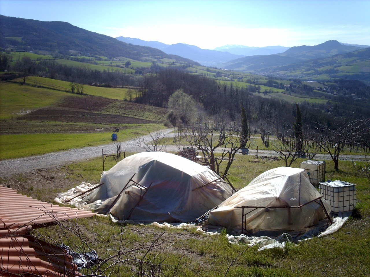 Terreno agricolo Rivergaro - foto 3