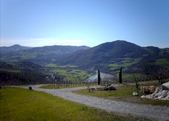 Terreno agricolo Rivergaro - foto 1