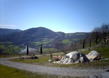 Terreno agricolo Rivergaro - foto 2