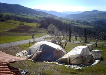 Terreno agricolo Rivergaro - foto 3