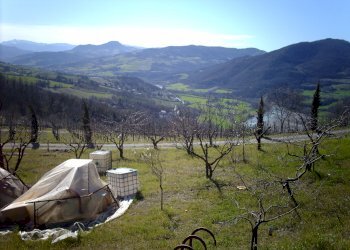 Terreno agricolo Rivergaro - foto 4