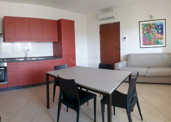 20210420_100907_resized.jpg - Two-room apartment Via Puglie 3, Legnago - photo 1