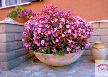 Rif 1113 (13).jpg - Villa a Schiera Giusvalla - foto 7