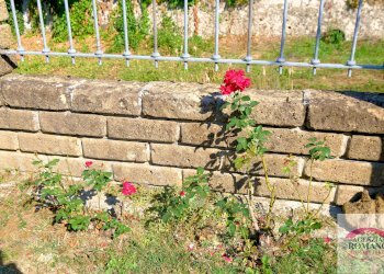 Rif 1113 (1).jpg - Villa a Schiera Giusvalla - foto 8