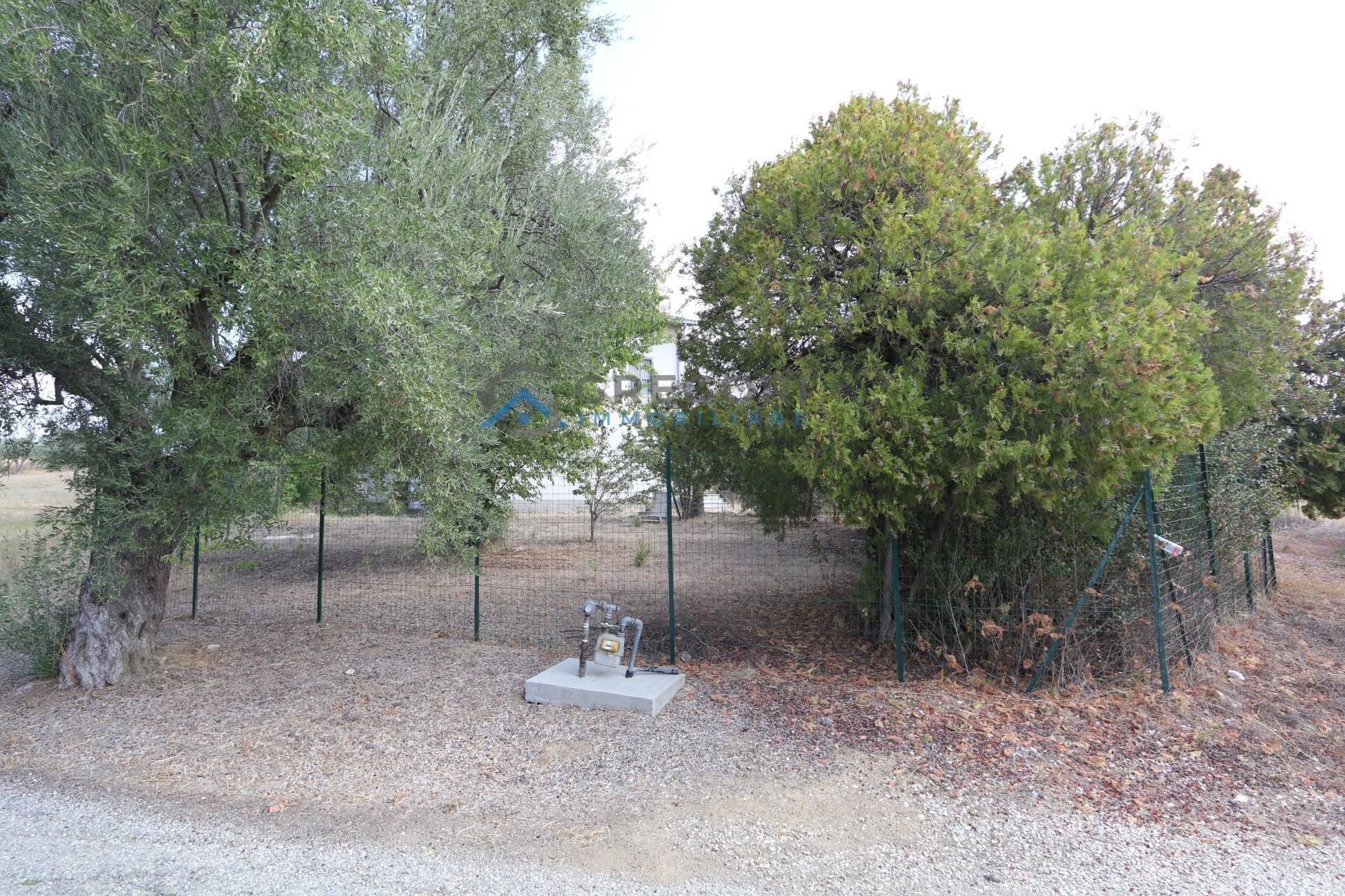 Single Family Villa C.da Pignotto, Controguerra - photo 2