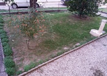 05.jpg - Appartamento Via Di Vittorio, Castiglione del Lago - foto 6