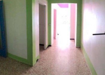 Negozio via brenta 10, Rivoli - foto 3