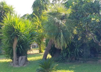 Villa Unifamiliare contrada vibrata, Colonnella - foto 6