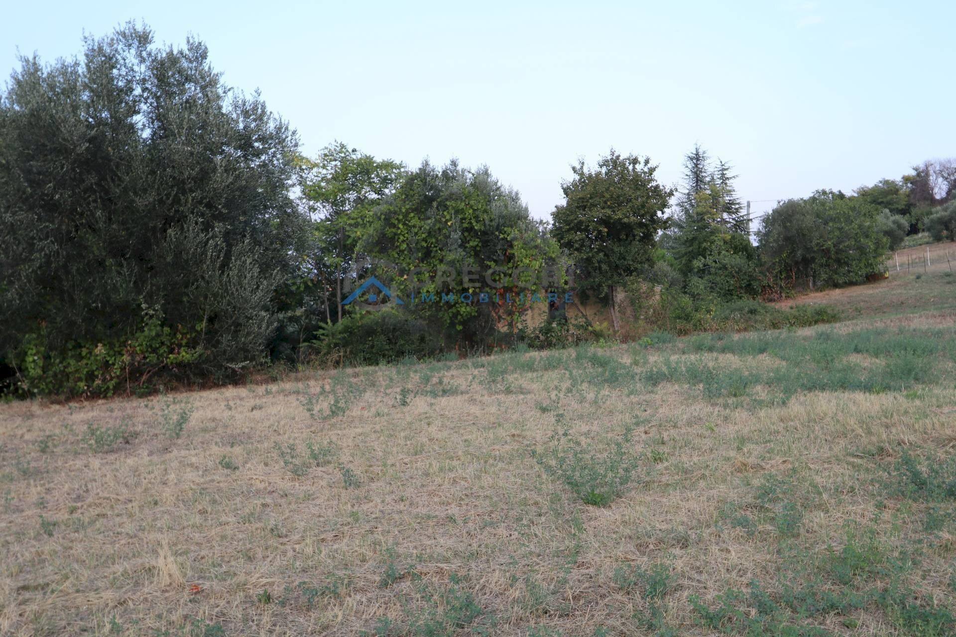 Rustic Via Fonte Ripa, Controguerra - photo 3