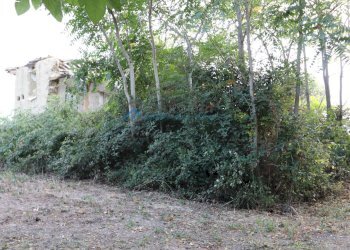 Rustic Via Fonte Ripa, Controguerra - photo 1