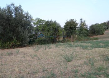 Rustic Via Fonte Ripa, Controguerra - photo 3