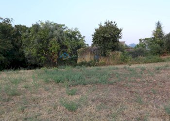 Rustic Via Fonte Ripa, Controguerra - photo 4