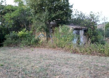 Rustic Via Fonte Ripa, Controguerra - photo 5