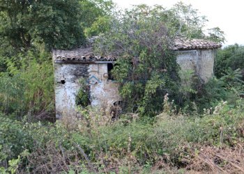 Rustic Via Fonte Ripa, Controguerra - photo 6