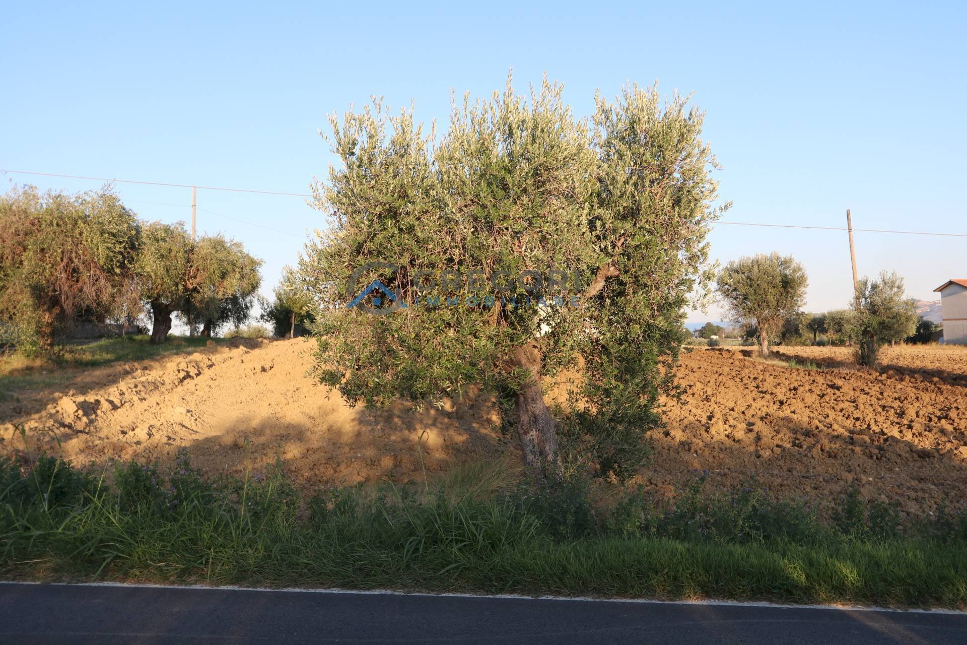 Building land C.da San Giuseppe, Controguerra - photo 1
