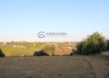 Terreno edificabile C.da San Giuseppe, Controguerra - foto 3