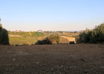 Terreno edificabile C.da San Giuseppe, Controguerra - foto 6