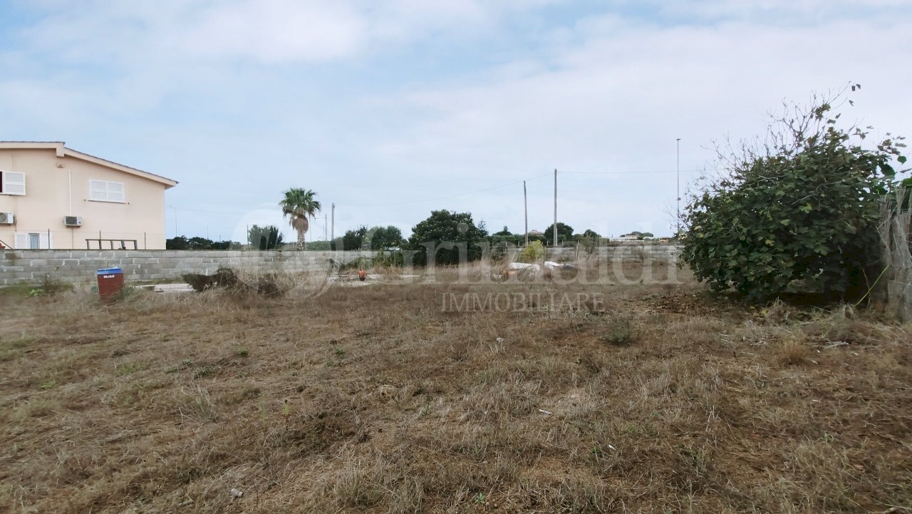 IMG_20211006_110425.jpg - Agricultural land Via della Campana, Anzio - photo 3