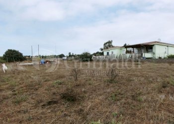 IMG_20211006_110256.jpg - Agricultural land Via della Campana, Anzio - photo 6