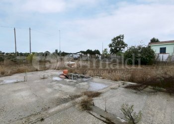 IMG_20211006_110209.jpg - Agricultural land Via della Campana, Anzio - photo 7