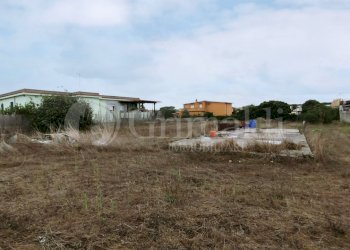 IMG_20211006_110140.jpg - Agricultural land Via della Campana, Anzio - photo 8