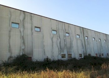 dileoimmobiliare capannone (3).JPG - Capannone Colonnella - foto 19