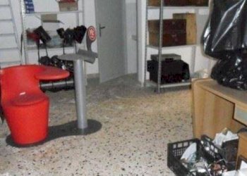 Magazzino Carini - foto 2