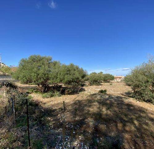 Terreno agricolo Cinisi - foto 2