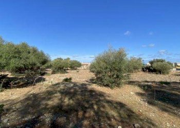 Agricultural land Cinisi - photo 1