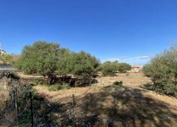 Agricultural land Cinisi - photo 2