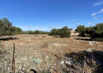 Agricultural land Cinisi - photo 5