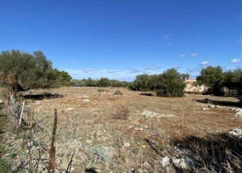 Agricultural land Cinisi - photo 6