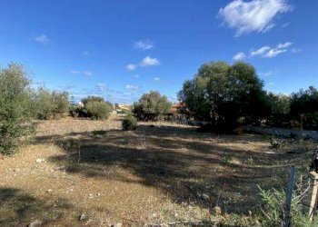 Agricultural land Cinisi - photo 8