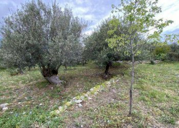 Rustico via Don Luigi Sturzo, Carini - foto 5