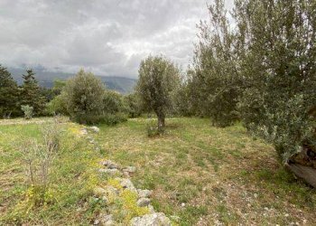 Rustico via Don Luigi Sturzo, Carini - foto 6