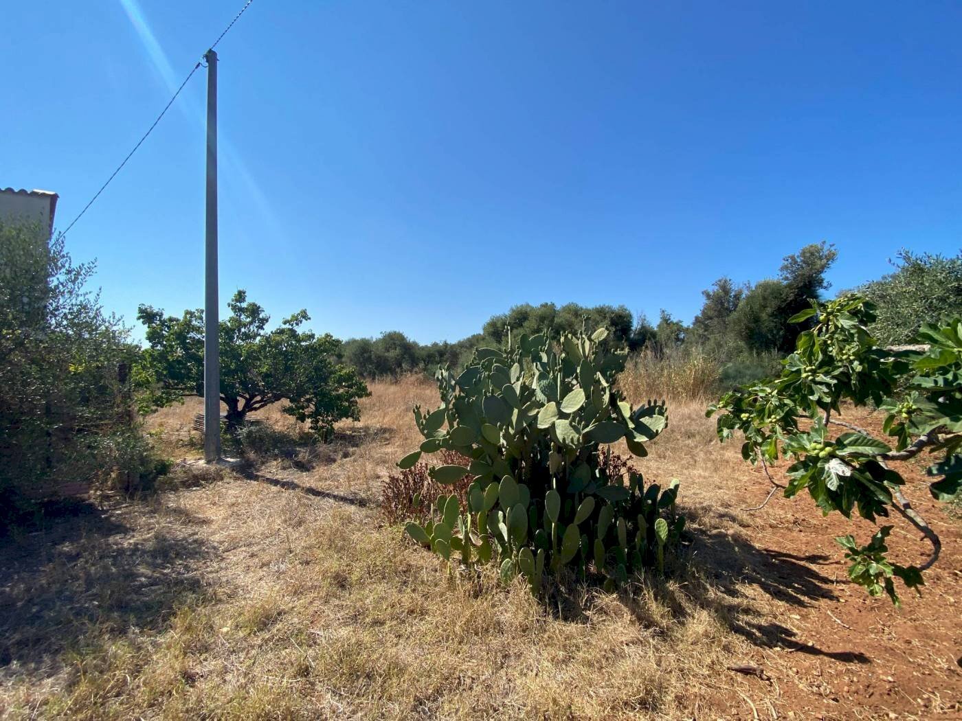 Building land via Frassino, Terrasini - photo 2