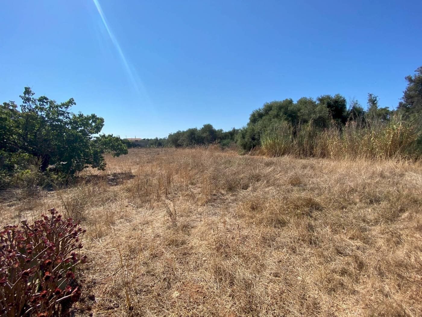 Building land via Frassino, Terrasini - photo 3