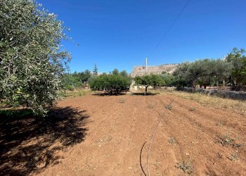 Terreno edificabile via Frassino, Terrasini - foto 1