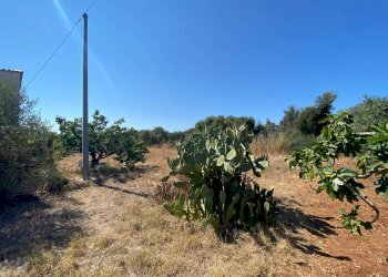 Terreno edificabile via Frassino, Terrasini - foto 2